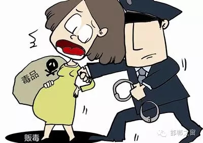 2016年初，涉縣警方查獲一起涉毒案件，鑒于該案涉案人員多、毒品交易量大，涉縣警方立即將案情上報，被公安部確立為“目標-2016-314”號毒品案件。涉縣警方成立專案組，經(jīng)過多方追查，先后抓獲團伙人員13名，繳獲毒品5349克，并查明上線“濮姐”的真實身份為陳某。